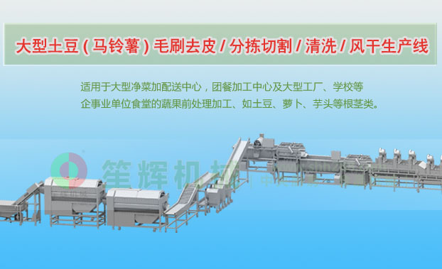 四平连续式土豆去皮清洗切割风干生产线